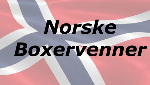 norskeBoxervenner